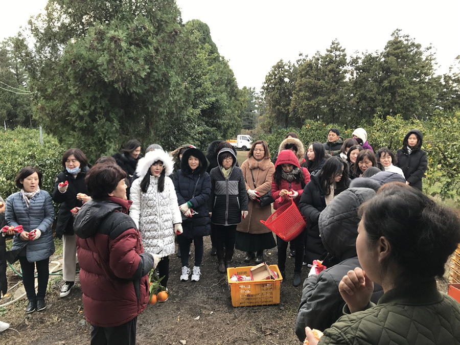 도외 소비자체험