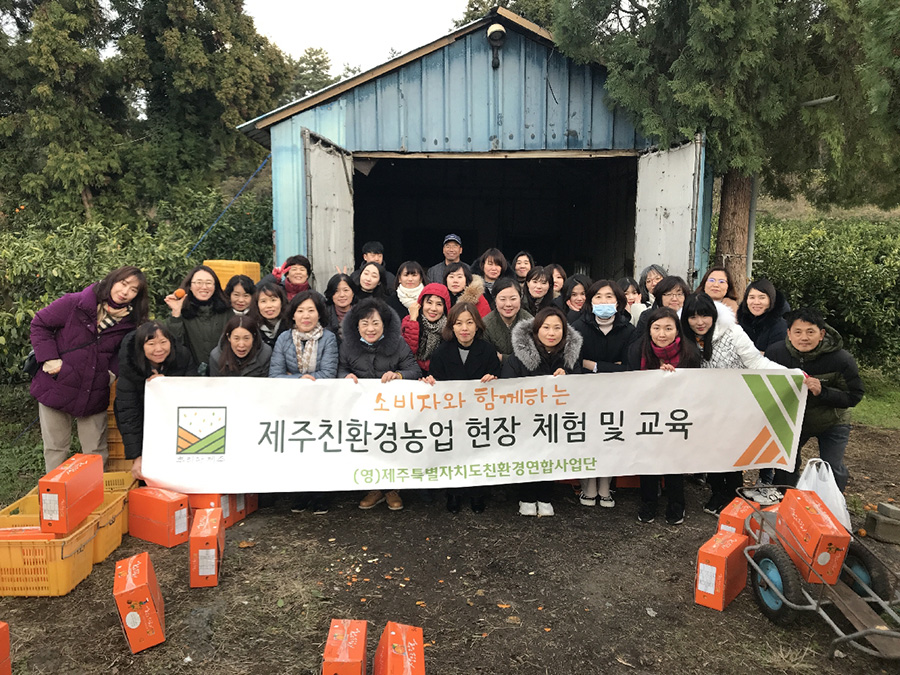 도외 소비자체험