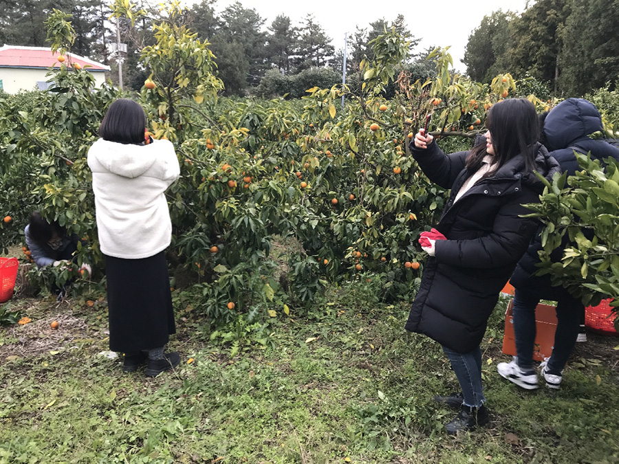 도외 소비자체험