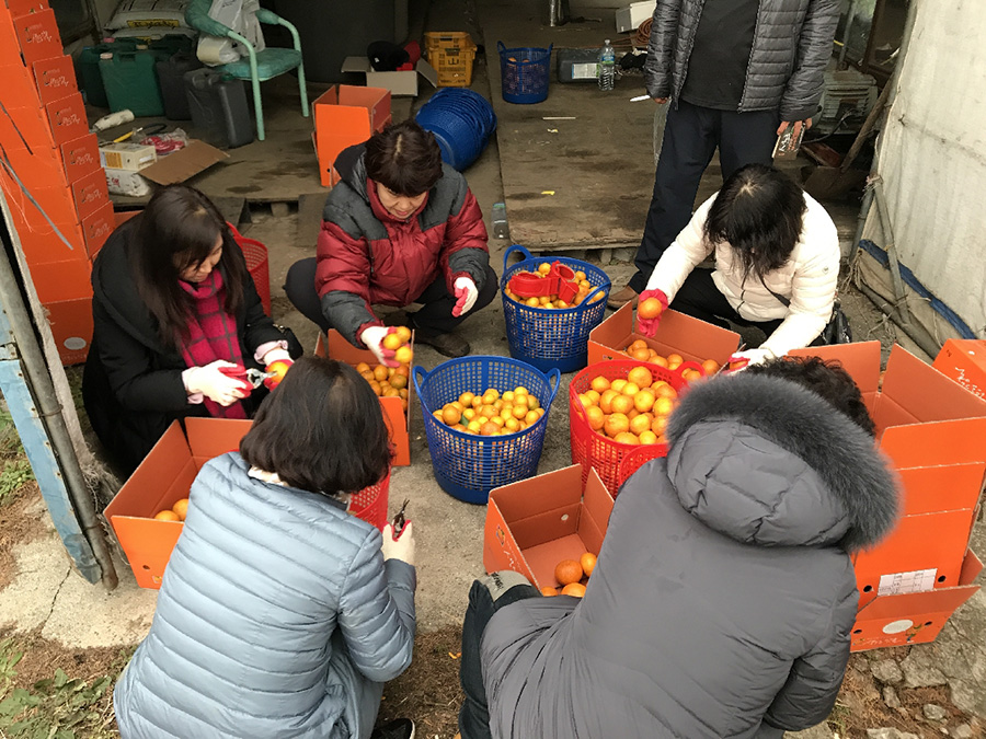 도외 소비자체험