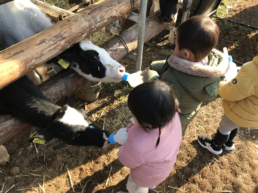 도내 소비자체험