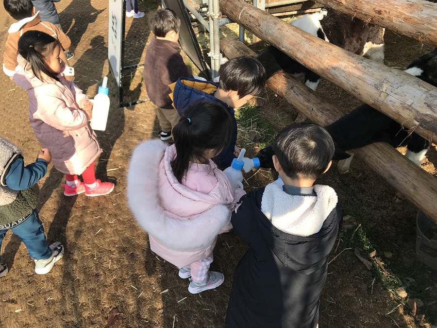 도내 소비자체험