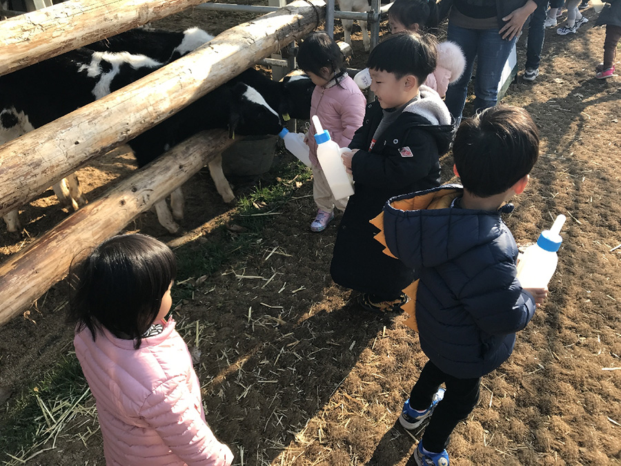 도내 소비자체험