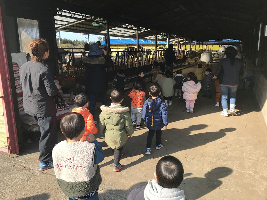 도내 소비자체험