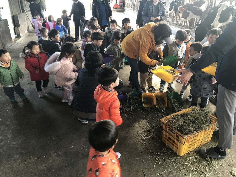 도내 소비자체험